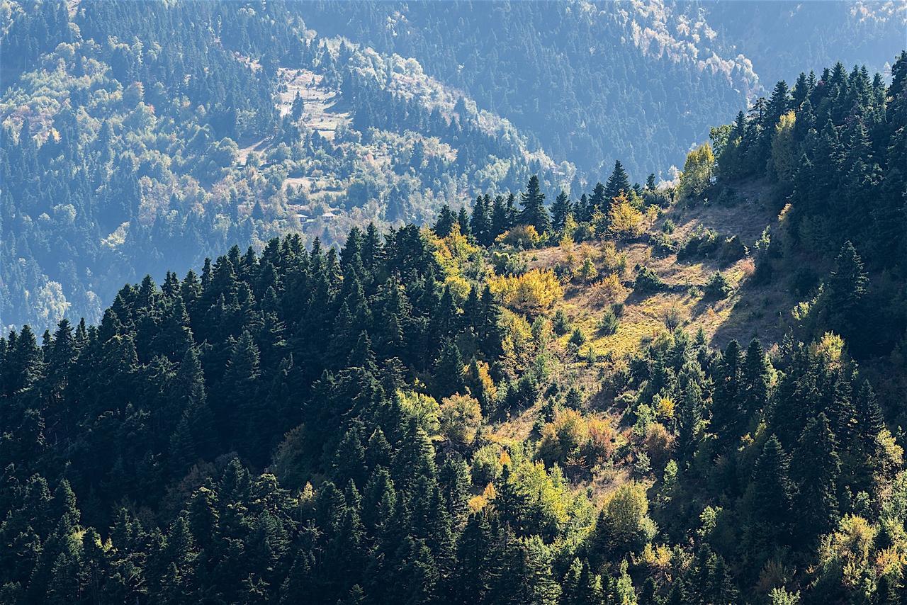 Koutsikouris Hotel Platanakos Zewnętrze zdjęcie